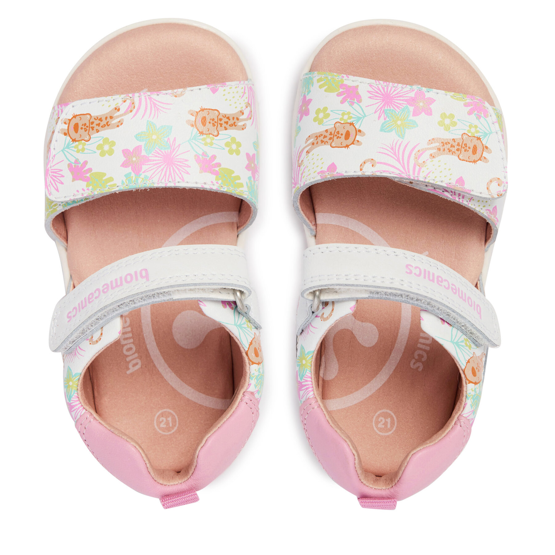 Basutės Biomecanics