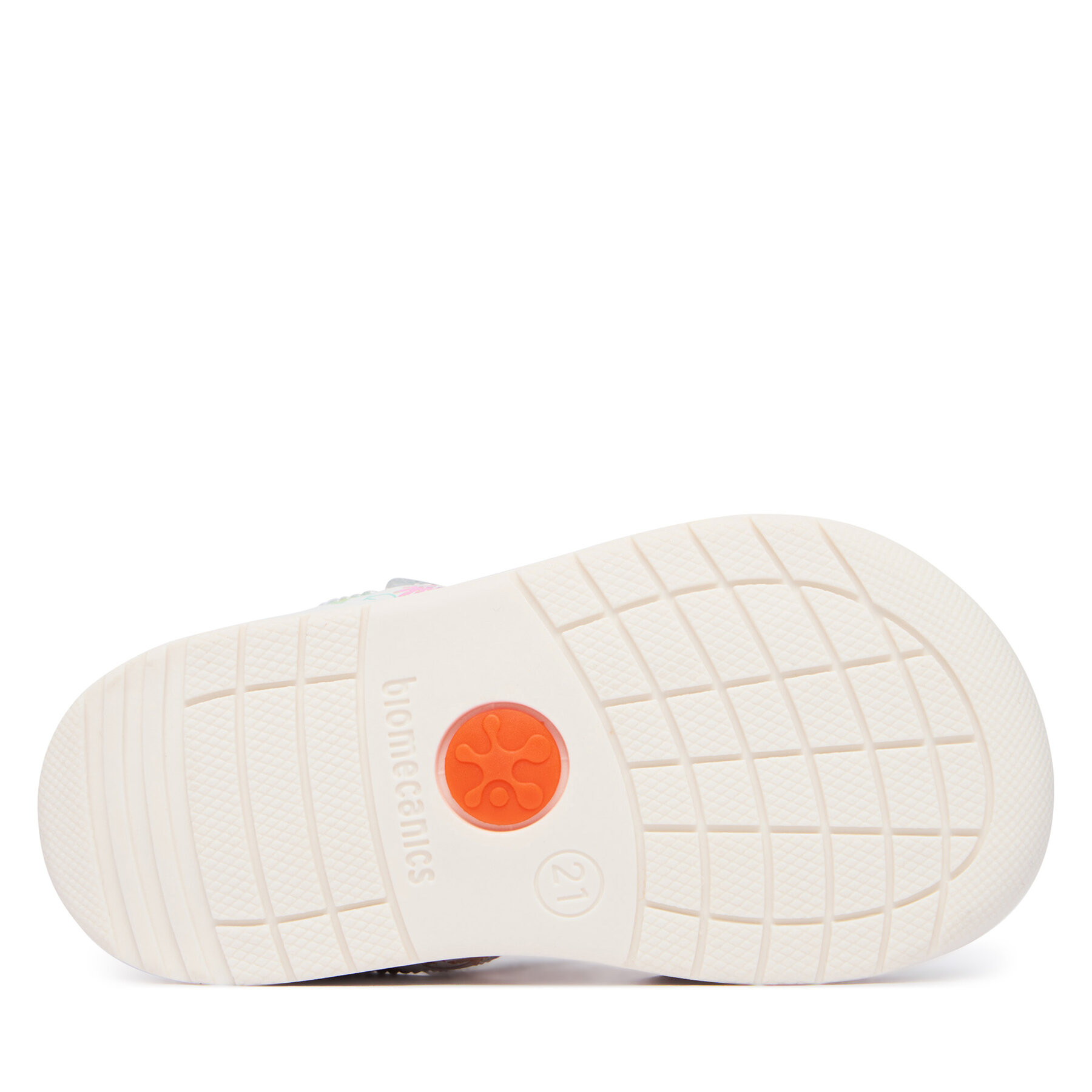 Basutės Biomecanics