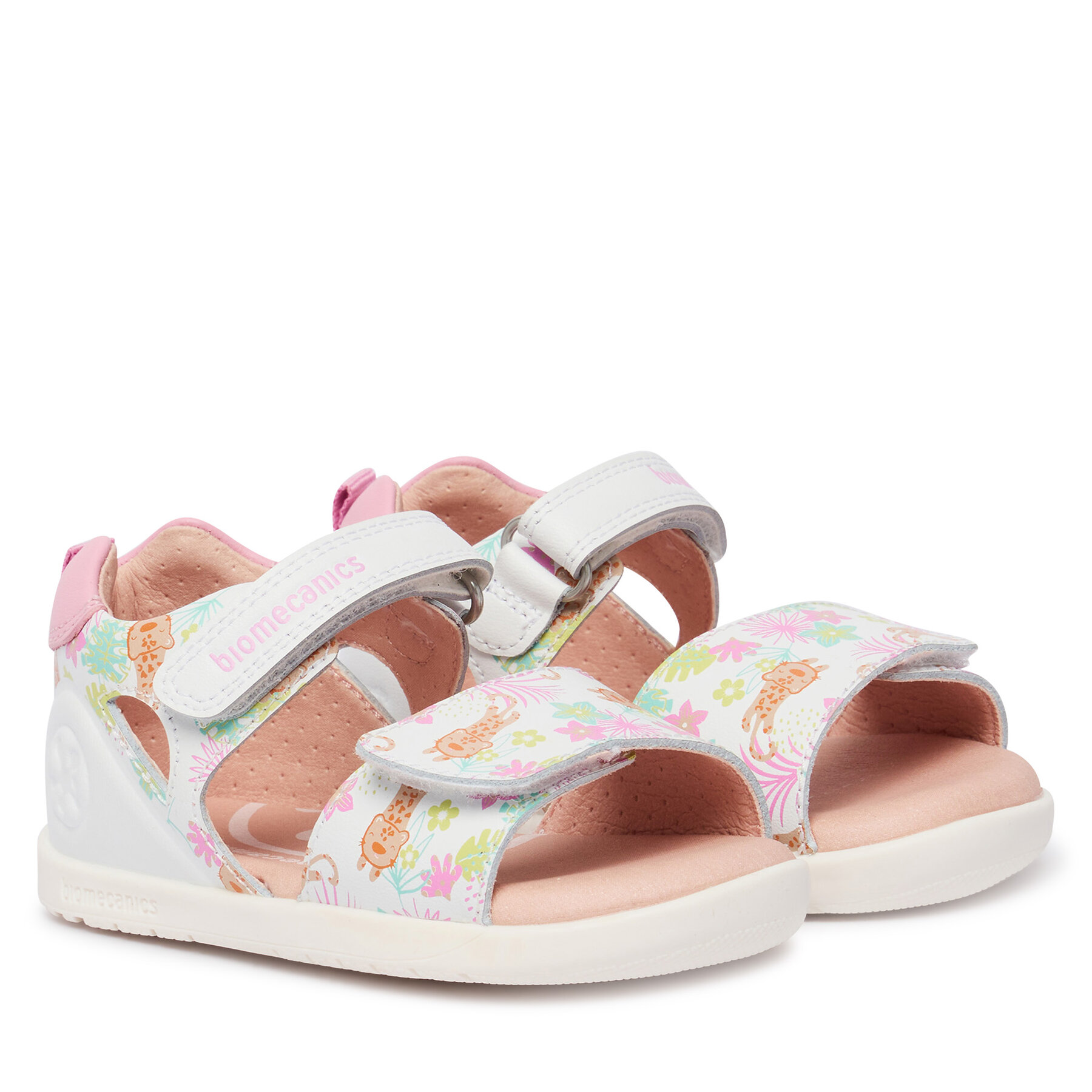 Basutės Biomecanics