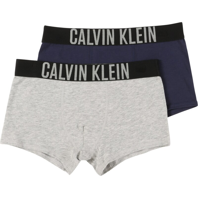 Calvin Klein Underwear Apatinės kelnaitės mėlyna / pilka