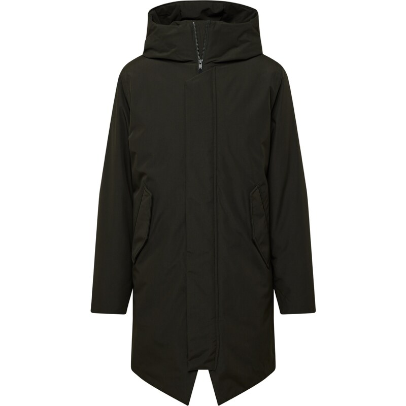 elvine Demisezoninė striukė 'Gunter' tamsiai žalia