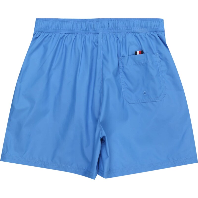 Tommy Hilfiger Underwear Maudymosi trumpikės tamsiai mėlyna jūros spalva / azuro spalva / raudona / balta