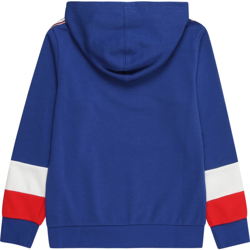 Champion Authentic Athletic Apparel Sportinio tipo megztinis mėlyna / raudona / balta