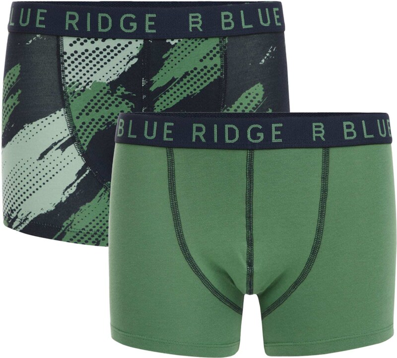 WE Fashion Apatinės kelnaitės alyvuogių spalva / tamsiai žalia / šviesiai žalia