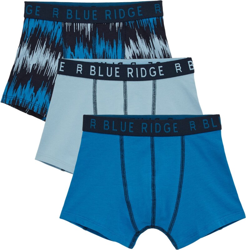 WE Fashion Apatinės kelnaitės sodri mėlyna („karališka“) / šviesiai mėlyna