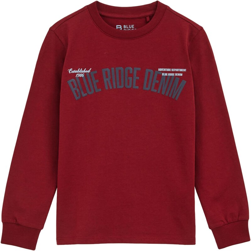 WE Fashion Marškinėliai mėlyna / vyšninė spalva