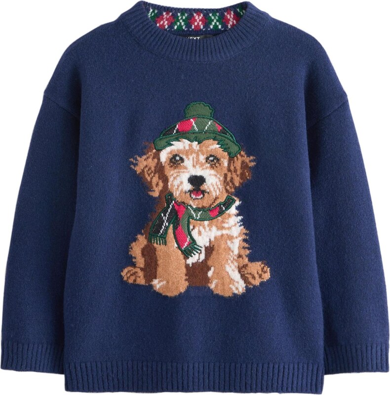 Next Megztinis tamsiai mėlyna jūros spalva / ruda / žalia / tamsiai rožinė