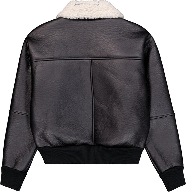 ALPHA INDUSTRIES Žieminė striukė juoda