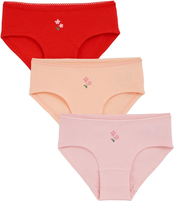 WE Fashion Apatinės kelnaitės šviesiai rožinė / raudona