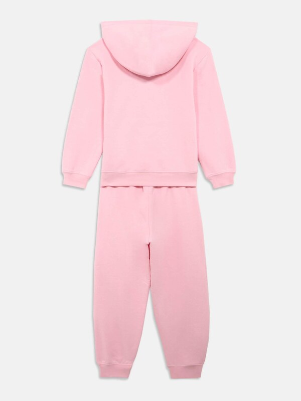 Jordan Treningas 'ESS' šviesiai mėlyna / šviesiai žalia / rožių spalva / natūrali balta