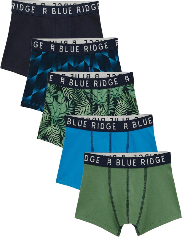 WE Fashion Apatinės kelnaitės mėlyna / tamsiai mėlyna / žalia