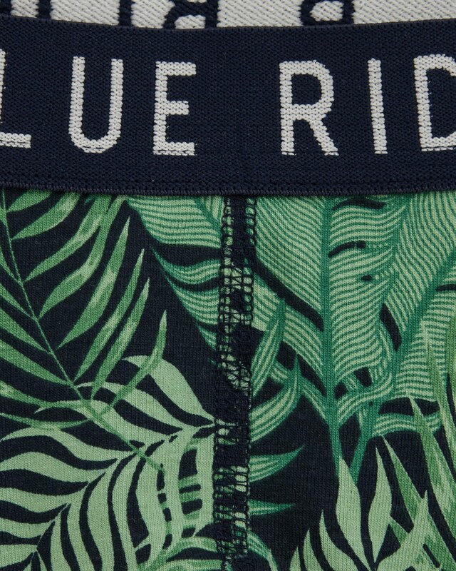 WE Fashion Apatinės kelnaitės mėlyna / tamsiai mėlyna / žalia