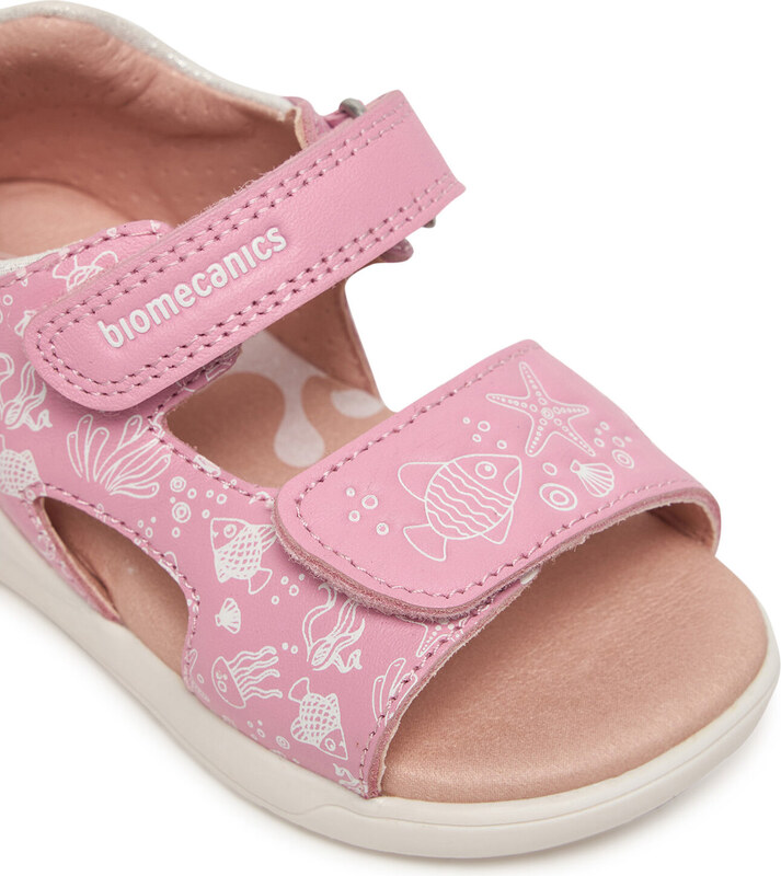 Basutės Biomecanics