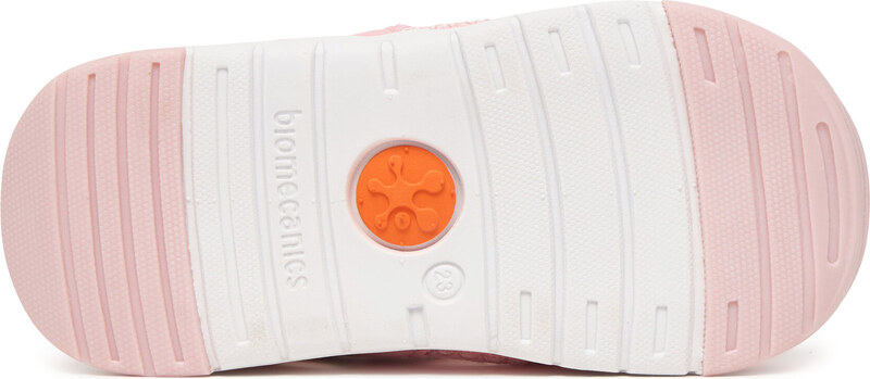 Basutės Biomecanics