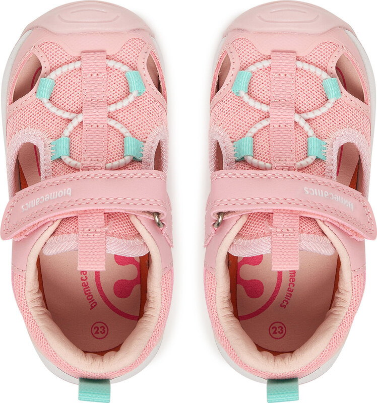 Basutės Biomecanics