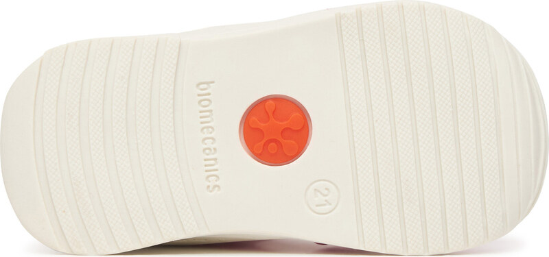 Basutės Biomecanics