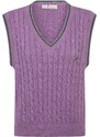 DENIM CULTURE Megztinis 'Ludano2' alyvuogių spalva / purpurinė