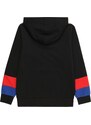 Champion Authentic Athletic Apparel Sportinio tipo megztinis mėlyna / raudona / juoda / balta