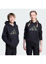 ADIDAS SPORTSWEAR Megztinis be užsegimo 'Camo Graphic Hoodie' rusvai žalia / alyvuogių spalva / juoda