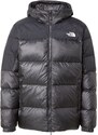 THE NORTH FACE Laisvalaikio striukė 'Diablo 2.0' juoda