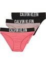 Calvin Klein Underwear Apatinės kelnaitės tamsi smėlio / avietinė / juoda / balta